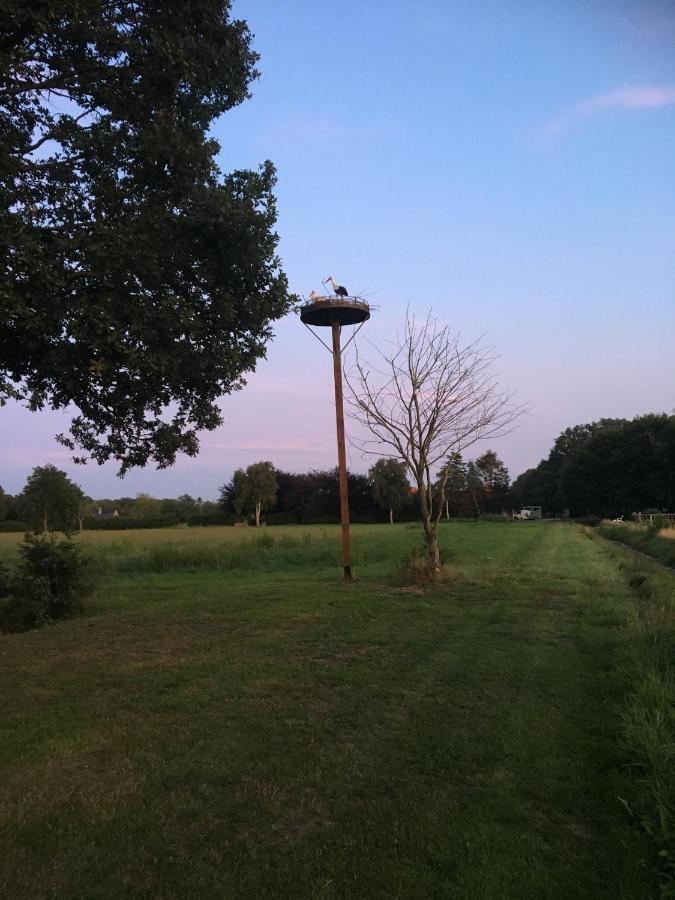 Houten Villa Tine Den Ham 外观 照片